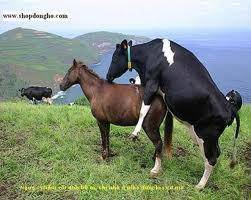 Images 3 15
